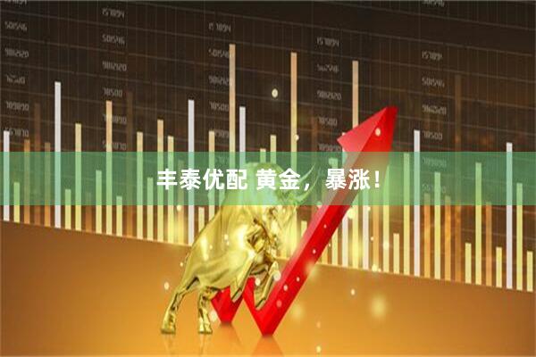 丰泰优配 黄金，暴涨！