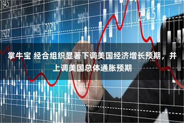 掌牛宝 经合组织显著下调美国经济增长预期，并上调美国总体通胀预期