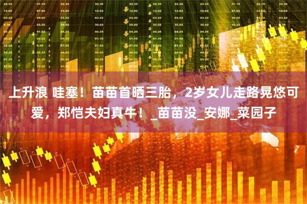 上升浪 哇塞！苗苗首晒三胎，2岁女儿走路晃悠可爱，郑恺夫妇真牛！_苗苗没_安娜_菜园子