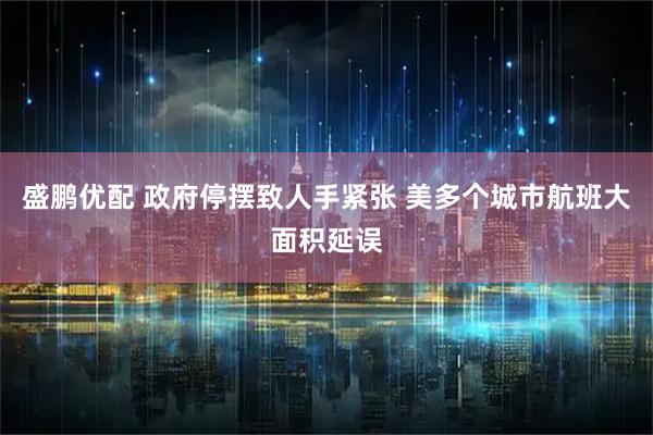 盛鹏优配 政府停摆致人手紧张 美多个城市航班大面积延误