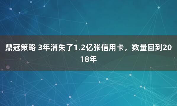 鼎冠策略 3年消失了1.2亿张信用卡,数量回到2018年